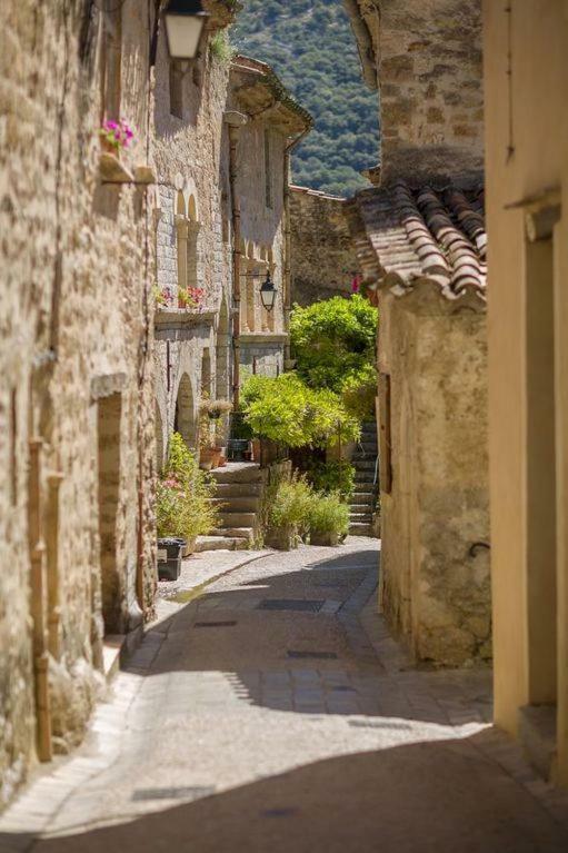 Charmante Maison A Saint Guilhem Le Desert Eksteriør billede